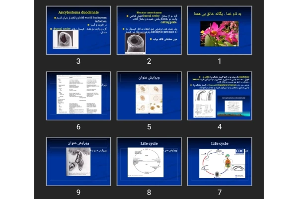 پاورپوینت Hook worm, larve migran stron