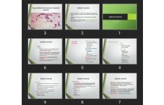 پاورپوینت Aplastic Anemias