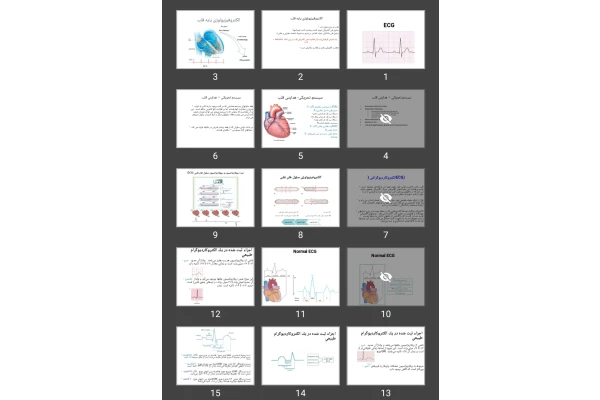 پاورپوینت EKG LAB