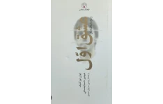 کتاب صوتی عشق اول اثر ایوان تورگنیف