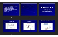 پاورپوینت Circulation