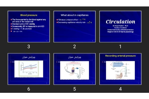 پاورپوینت Circulation