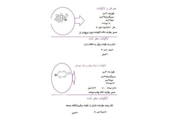 نشانه های حیوانات در گنج یابی