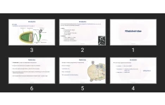 پاورپوینت Rhabdoviridae