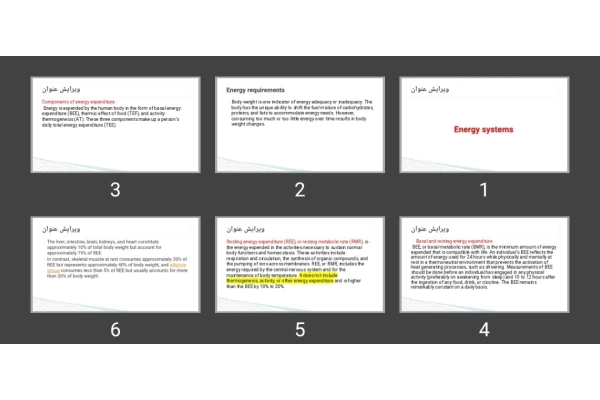 پاورپوینت Energy systems