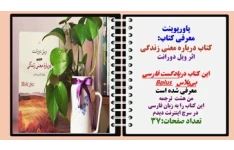 پاورپوینت معرفی کتاب درباره معنی زندگی اثر ویل دورانت