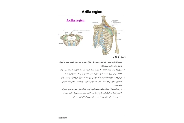 جزوه تشریح عضلانی اسکلتی ناحیه آگزیلا