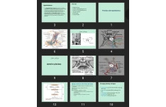 پاورپوینت Pituitary and hypothalamus