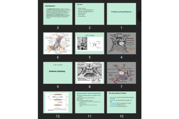 پاورپوینت Pituitary and hypothalamus