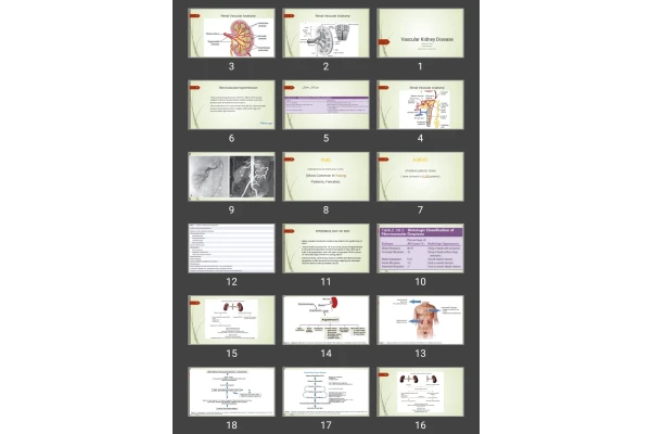 پاورپوینت بیماری عروق کلیه Vascular Kidney Disease