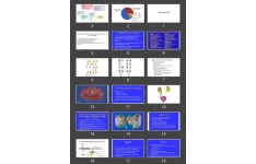 پاورپوینت hereditary renal diseases