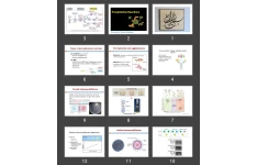 پاورپوینت Precipitation Reactions