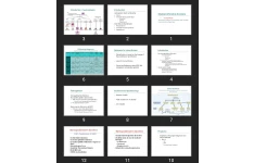 پاورپوینت Myeloproliferative disorders