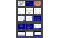 پاورپوینت Pharmacology of Autonomic Nervous System